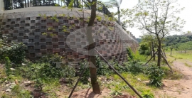 平博·pinnacle(中国集团)官方网站