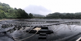 平博·pinnacle(中国集团)官方网站